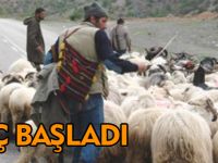 Göç başladı