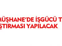 GÜMÜŞHANE'DE İŞGÜCÜ TALEP ARAŞTIRMASI