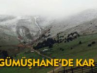 GÜMÜŞHANE'DE KAR