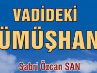 VADİDEKİ GÜMÜŞHANE