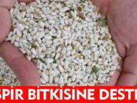 ASPİR BİTKİSİNE DESTEK