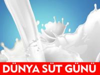 DÜNYA SÜT GÜNÜ