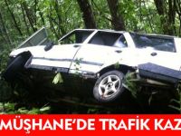 GÜMÜŞHANE'DE TRAFİK KAZASI
