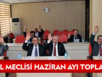 İL GENEL MECLİSİ HAZİRAN AYI TOPLANTILARI