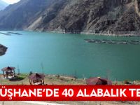 GÜMÜŞHANE'DE 40 ALABALIK TESİSİ