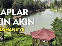 ANA HABER BÜLTENİ 30.06.2014
