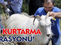 ANA HABER BÜLTENİ 30.06.2014
