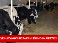 GIDA TARIM VE HAYVANCILIK BAKANLIĞI’NDAN ÜRETİCİLERE DESTEK
