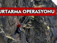 KEÇİ KURTARMA OPERASYONU