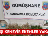 YASADIŞI KENEVİR EKENLER YAKALANDI
