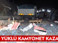 ÜZÜM YÜKLÜ KAMYONET KAZA YAPTI