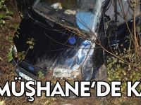 GÜMÜŞHANE'DE TRAFİK KAZASI