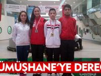 GÜMÜŞHANE'YE DERECE