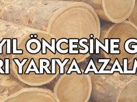 30 YIL ÖNCESİNE GÖRE YARI YARIYA AZALMA
