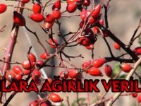 BUNLARA AĞIRLIK VERİLMELİ