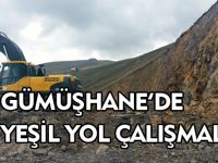 GÜMÜŞHANE'DE YEŞİL YOL ÇALIŞMALARI