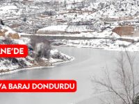 GÜMÜŞHANE’DE SOĞUK HAVA BARAJ DONDURDU