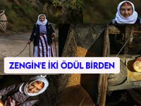 ZENGİN'E İKİ ÖDÜL BİRDEN