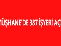 GÜMÜŞHANE’DE 387 İŞYERİ AÇILDI