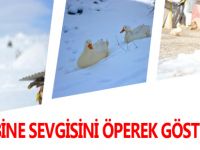 SAHİBİNİ ÖPEN ÖRDEK "PINIS"