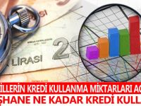 Gümüşhane NE KADAR KREDİ KULLANDI ?