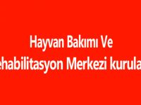 Gümüşhane'ye Hayvan Bakımı ve Rehabilitasyon Merkezi kurulacak