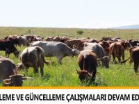 KÜPELEME VE GÜNCELLEME ÇALIŞMALARI DEVAM EDİYOR
