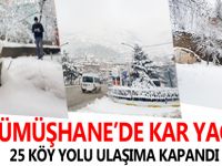 GÜMÜŞHANE’DE KAR YAĞIŞI