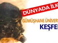 Gümüşhane Üniversitesinde yeni bir tür keşfi…
