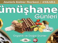 4. GÜMÜŞHANE TANITIM GÜNLERİ