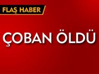 ÇOBAN ÖLDÜ