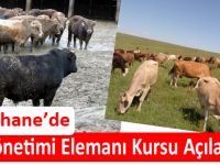 Sürü Yönetimi Elemanı Kursu Açılacak