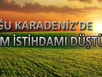 DOĞU KARADENİZ’DE TARIM İSTİHDAMI DÜŞTÜ