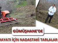 GÜMÜŞHANE’DE YABAN HAYATI İÇİN NADASTAKİ TARLALAR EKİLİYOR