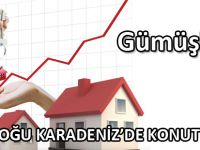 DOĞU KARADENİZ’DE KONUT SATIŞI YÜZDE 23.5 ORANINDA ARTTI