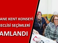 GÜMÜŞHANE KENT KONSEYİ KADIN MECLİSİ SEÇİMLERİ TAMAMLANDI