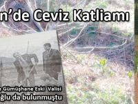 KÜRTÜN’DE CEVİZ KATLİAMI