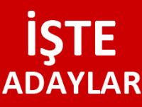 GÜMÜŞHANE MİLLETVEKİLİ ADAYLARI