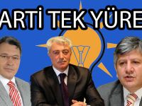 AK Parti Tek Yürek