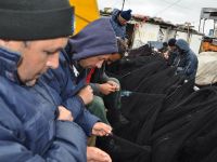 KARADENİZ'DE AV SEZONU ERKEN BİTTİ