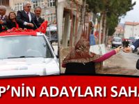 MHP’NİN ADAYLARI SAHADA