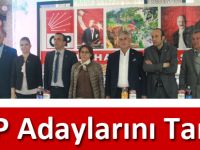 CHP Adaylarını Tanıttı