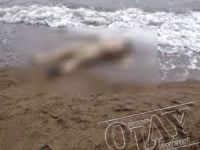 SAMSUN'DA SAHİLDE KADIN CESEDİ BULUNDU