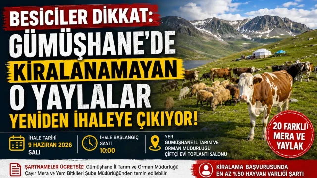 Besiciler Dikkat: Gümüşhane'de Kiralanamayan O Yaylalar Yeniden İhaleye Çıkıyor!
