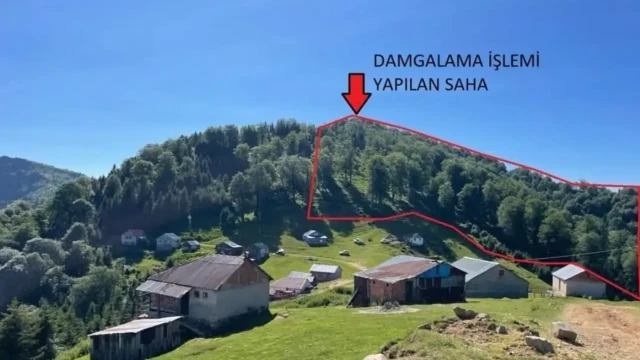 Bursa’daki Gümüşhaneliler'den 'Kızılali Yaylası’ uyarısı