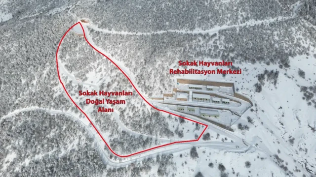 Gümüşhane Belediyesi: Barınak Görüntüleri Güncel Değil, İddialar Gerçek Dışı