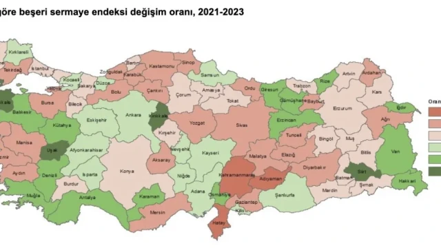 Gümüşhane, Beşeri Sermaye Endeksinde En Düşük İller Arasında