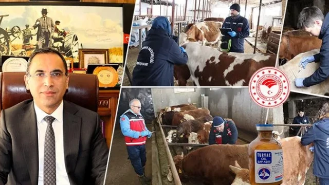 Gümüşhane İl Tarım ve Orman Müdürlüğü 2026 İlkbahar Şap Aşılama Kampanyasını Başlattı