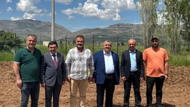 Gümüşhane Üniversitesi’nden Kelkit’te Fil Otu Denemesi