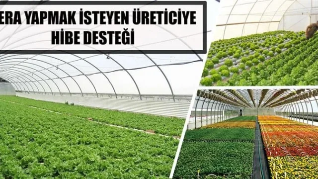 Gümüşhane’de %70 Hibeli Sera Kurulum Projesi Başlıyor: Başvurular 10 Nisan’a Kadar
